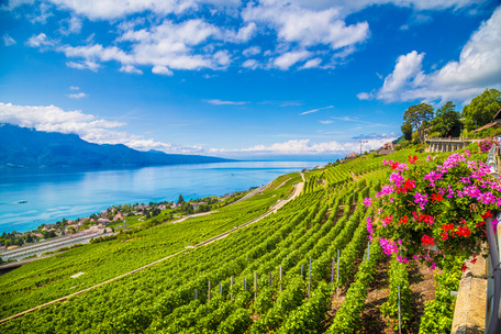 Reiseziel Genfer See Schweiz